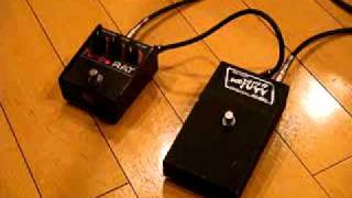 Proco Turbo Rat , Shaftesbury Duo Fuzz