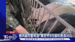 豬肉雞肉會再漲! 陳吉仲:8月飼料將漲30%｜TVBS新聞