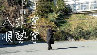 八卦掌　順勢掌 (簡化式）/　Baguazhang　Following Through Palm   (Simplified Ver.)　#baguazhang #bagua #八卦掌