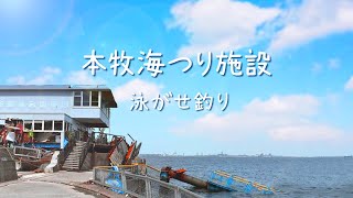 東京湾 横浜本牧埠頭 本牧海つり施設 泳がせ釣り