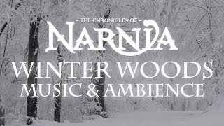 Download Chronicles of Narnia | Winter Woods Music & Ambience - Relaxing Music with Sounds of Winter mp3