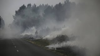 Пожары в Жиронде уничтожают лес