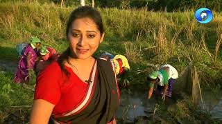 JANAKRISTI | SANTALI TRIBE | TEBITOLA \u0026 SAHPUR, TAMULPUR,ASSAM  | EP #71