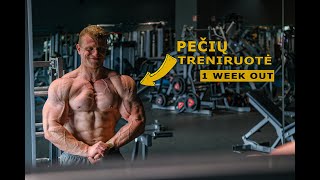 PEČIŲ TRENIRUOTĖ. 1WEEK OUT. 1SAVAITĖ IKI VARŽYBŲ