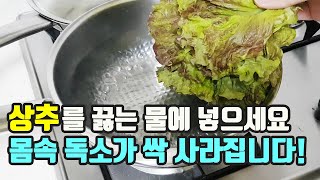 상추를 끓는 물에 넣어보세요. 몸속 독소가 싹 사라집니다!(쉽게 만드는 방법도 확인하세요~)