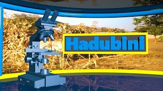 🔴#TBCLIVE: HADUBINI FEBRUARI 01,2025 | SAA 2:00-3:00 USIKU