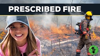 Prescribed Burns | Helpful Ecosystem Maintenance