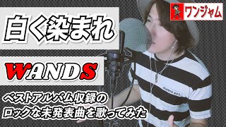 WANDS未発表の隠れ名曲「白く染まれ」をWANDSマニアが歌ってみた！【ワンジャム⑤歌唱編】