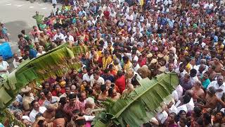 அகிலாண்டேஸ்வரி திருக்கோயில் குடமுழுக்கு விழா -கும்பாபிஷேகம் #TRICHY #திருச்சி #திருவானைக்கோவில்