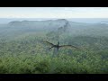 The Isle Evrima Guide: Best Places you can go as pteranodon!