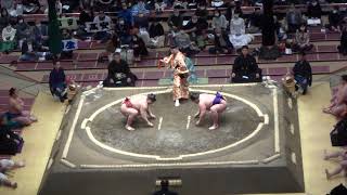 【大相撲三月場所2021】高安(田子ノ浦部屋) vs 明生(立浪部屋) 初日[Grand Sumo] TAKAYASU vs MEISEI 2021/03/14