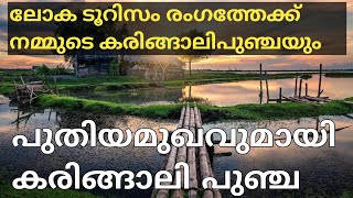 Karingali Puncha | Padanilam |  Nooranad | പുതിയമുഖവുമായി കരിങ്ങാലിപുഞ്ച