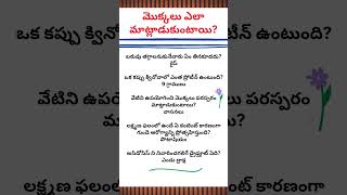 మొక్కలు ఎలా మాట్లాడుకుంటాయి #plants #conversation #weight #quinova #health #interesting #facts