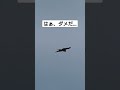 寝坊して会社に遅刻しそうな鳥さんその２ テスト