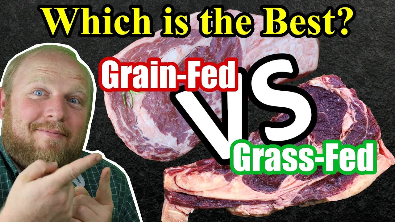 Grain-fed Vs Grass-fed Beef: Which Is The Best? Join Our Family For The ...