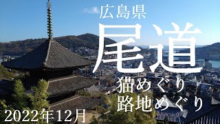 【尾道　猫巡り　路地巡り　ロケ地巡り】2022年12月　広島県尾道市をゆっくり散策しました。