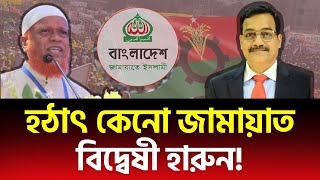 হঠাৎ কেনো চরম জামায়াত বিদ্বেষী হলেন হারুন? মাথাব্যথার কারণ নুরুল ইসলাম বুলবুল!