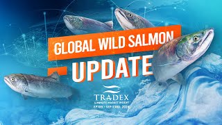 3MMI - Global Salmon Update: 600,000MT Less Salmon Than Last Year