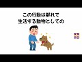 犬の不思議な行動の雑学｜飼い主を驚かせる行動の裏に隠された真実、知れば愛犬がもっと愛おしくなる！