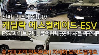 진짜 큰 초대형SUV 캐딜락 에스컬레이드 및 ESV 5대 인도완료!! ESV 스포츠 화이트 2대, 블랙 1대, 에스컬레이드 스포츠 블랙 2대