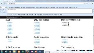 Web For Pentester Command Injection Example 2 Solution