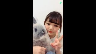 20190404 LINELIVE 平塚日菜（ふわふわ）