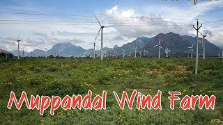 #muppandal #windfarm 3rd largest #windmillfarm #tamilnadu #kanyakumari #windturbine #greenenergy