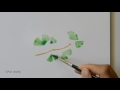 how to paint ginkgo biloba leaves on a branch watercolor