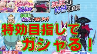 妖怪ウォッチぷにぷに　８０連でＳＳＳぷにキュウビとＳＳぷにぷに工場長ひけるか？