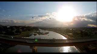 【ドローン】台風後の入間川【空撮】