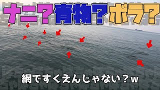 青物？ボラ？大物シーバスが跳ねた反対側でナブラしたからとりあえずルアー投げてみた｜メタルジグで真鯛狙ってたけど最後にまあまあのサイズが・・・