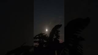 Akhtar Beautiful Moonlight #shorts #shortsvideo #viral