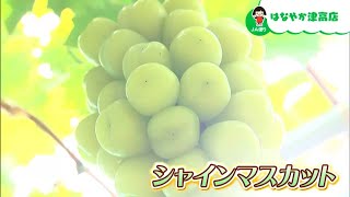 御津で作られている、あま～い「シャインマスカット」｜【笑味ちゃん天気予報】2023年9月15日放送