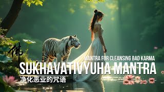 SUKHAVATIVYUHA MANTRA |净化恶业的咒语  | mantra for cleansing BAD KARMA