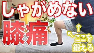 【自分で治す】しゃがむ際に膝が痛む場合はここを鍛えろ!!【渋谷　膝の痛み】東京都渋谷区恵比寿の整体院蒼