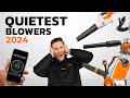 Quietest Leaf Blower - Gas vs Battery Leaf Blowers