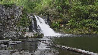 Here are some Great Smoky Mountains trails to know as weather warms up