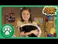 Wild Explorers - Meet a Skunk