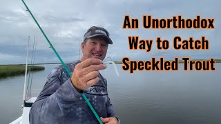 An Unorthodox Way to Catch Speckled Trout