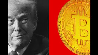 Trump’s Meme Coin Takes Over the Crypto World!