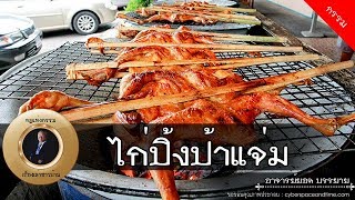 อาจารย์ยอด : ไก่ปิ้งป้าแจ่ม, ปาดคอไก่, ไก่ชน, เมาตีหมา [กรรม]