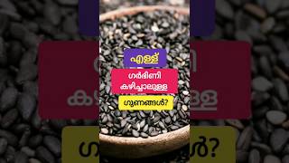 എള്ള് കഴിക്കാൻ പാടില്ല? #pregnancyfood #pregnancy #malayalam #trending #shorts