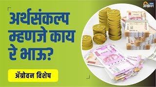 Union budget म्हणजे काय, त्याच importance काय? | Kendriy Arthsankalp 2022 | Agrowon