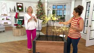 Bethlehem Lights Telescoping 2-Pc Star Burst Stake Lights on QVC