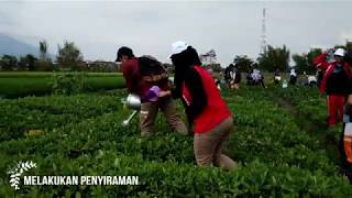 GAWAT TERNYATA KACANG TANAH.......................!!! (Kelompok T2)