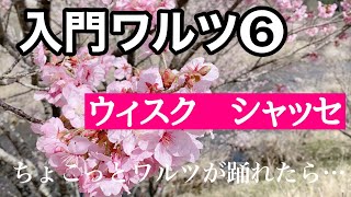 社交ダンス　ワルツ　ダンス入門（ワルツ第6回／全８回）ちょこっとワルツが踊れたら...