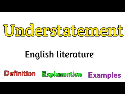 Which scenario is an example of understatement?
