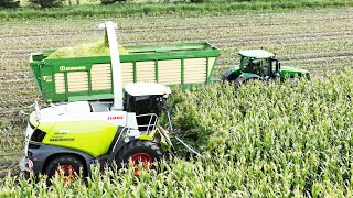 Maize Harvest 2022 | Brand New Claas Jaguar 950 chopping corn | Maisernte | Maishäckseln 2022