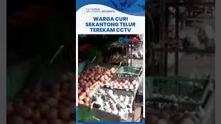 Heboh! Pencurian Sekantong Telur di Warung Terekam CCTV, Pelaku Hampir Beraksi Setiap Hari di TKP