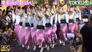 4K【神楽坂阿波踊り2024】全22連 Awaodori in Kagurazaka